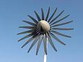 Arm�nio Carreira