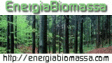 Energia Biomassa -